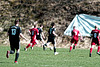 20250412_Voigtsfeld Benne, Fußball, Wildpflanzen