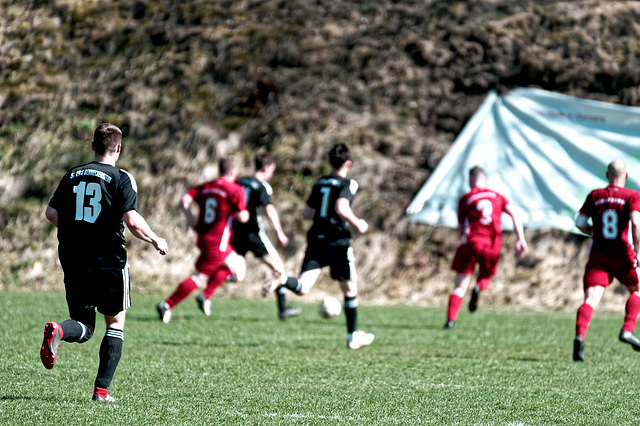 20250412_Voigtsfeld Benne, Fußball, Wildpflanzen
