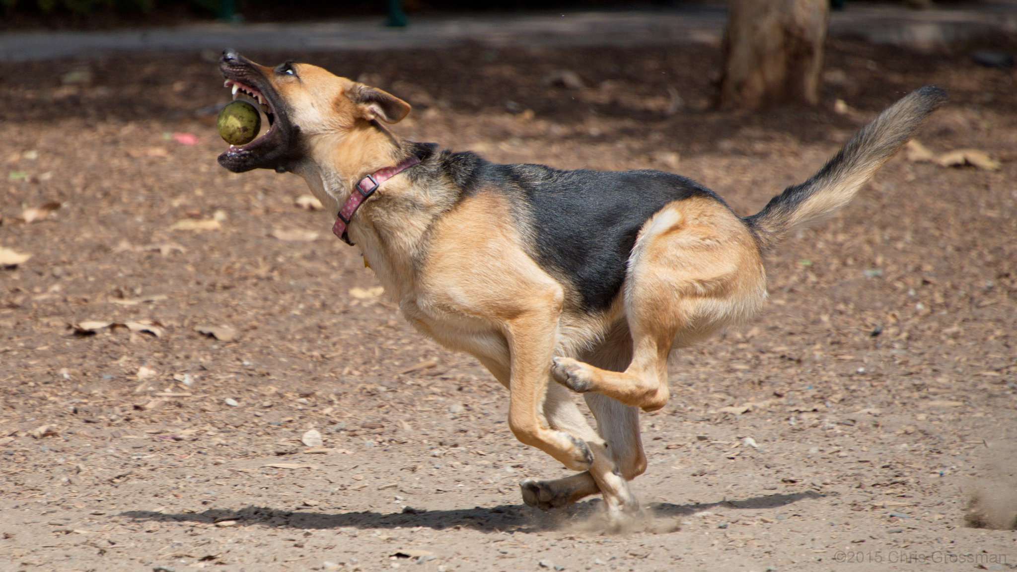 The Catch - Nikon D750 - AFS Nikkor 28-300mm 1:3.5-5.6G VR