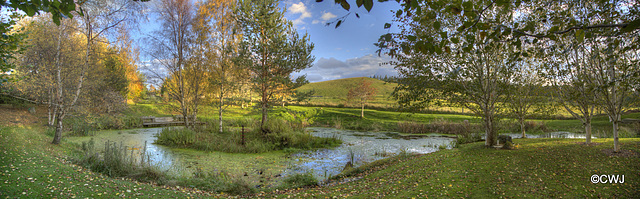 Autumn afternoon by the pond