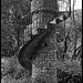 Tower.