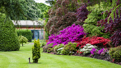 Floral Display