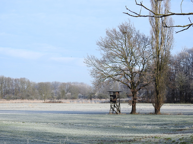 Stillhorner Weg