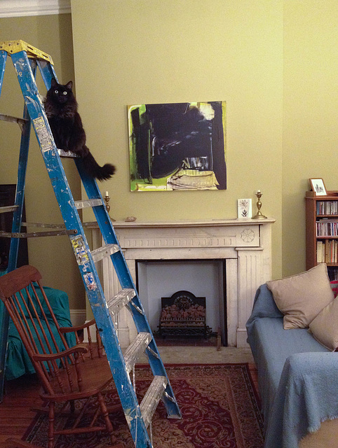 Always climb a ladder