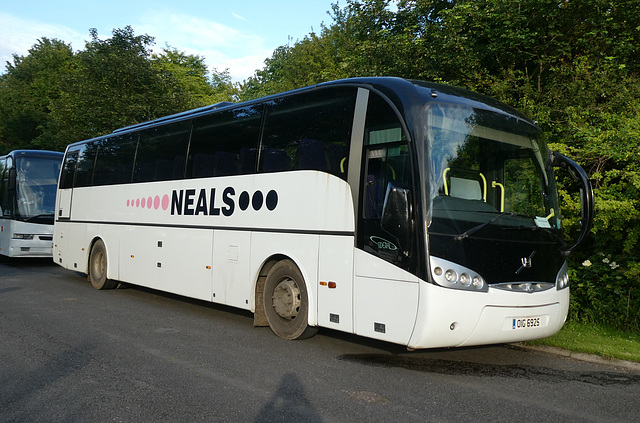Neal’s Travel OIG 6925 (FJ06 BPE) at the July Course, Newmarket - 21 Jun 2019 (P1020853)