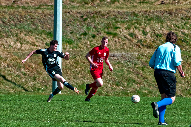 20250412_Voigtsfeld Benne, Fußball, Wildpflanzen