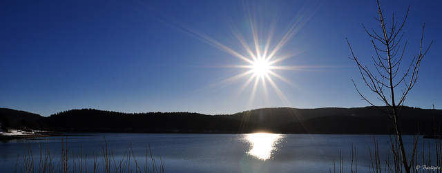 Winter am Schluchsee (© Buelipix)