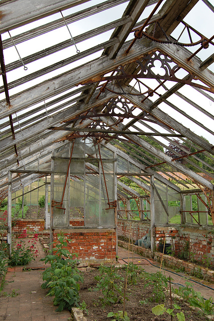 greenhouse-in-copped-halls-walled-garden-essex 536884696 o