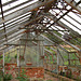 greenhouse-in-copped-halls-walled-garden-essex 536884696 o