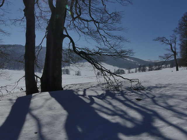 20190224 Raquettes plateau d'Ambel (105)