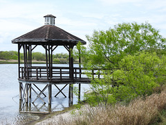 Day 4, observation deck at duck pond, Bishop State Park