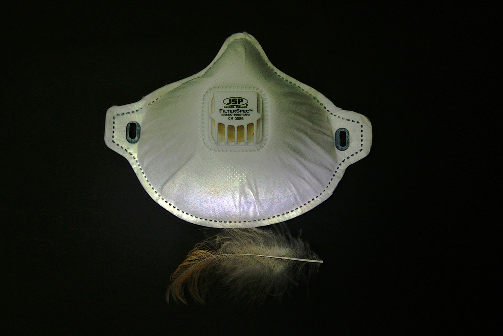 Le Masque et la Plume , cette photo culturelle ne sert à rien mais fait passer le temps .