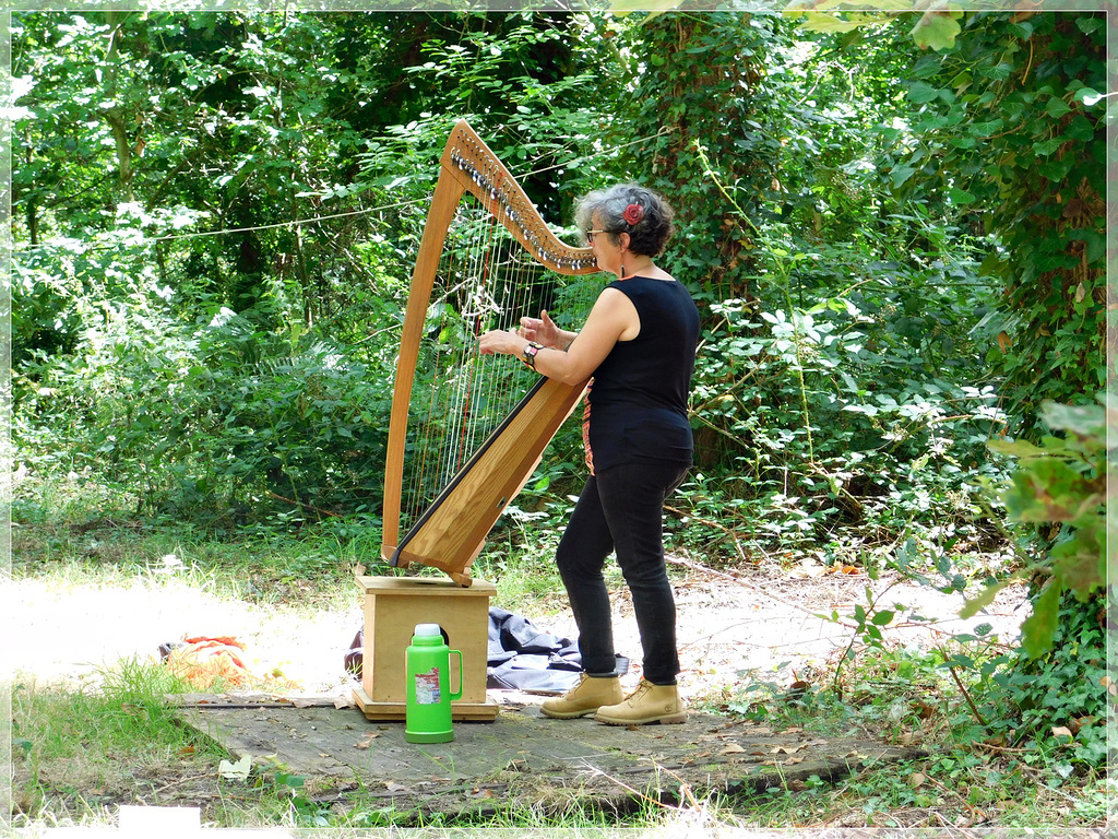 Lili à la harpe celtique à l'art est dans les bois
