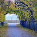 Autumn  tunnel