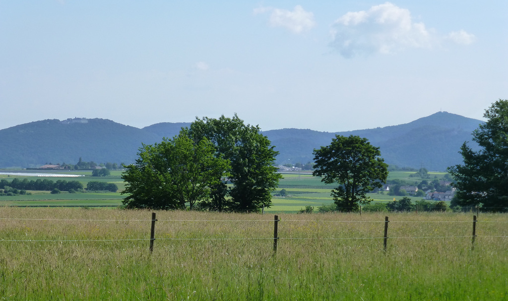 HFF mit Blick zum Siebengebirge