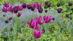 the passing of Time and the fleeting nature of Life the passing of Time and the fleeting nature of Life