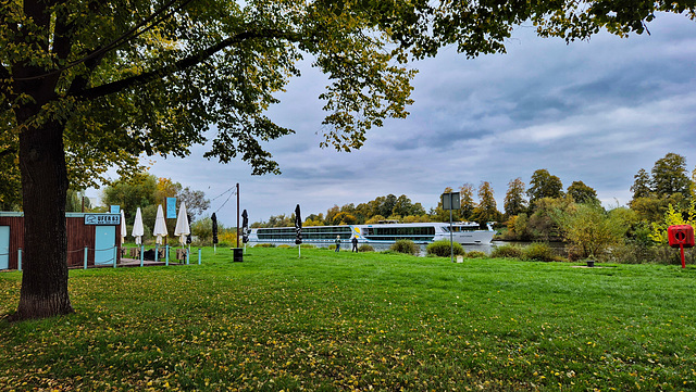 Herbststimmung am Main