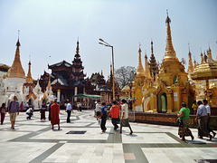 Shwedagon Paya