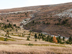 Looking towards top of Plateau Mountain