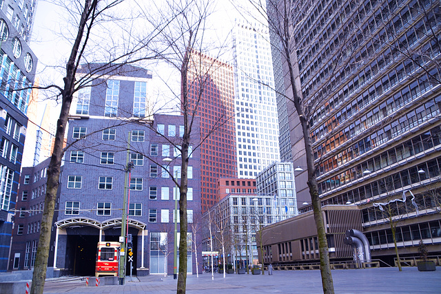 Turfmarkt in Den Haag