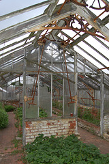 greenhouse-in-the-walled-garden-copped-hall-essex 535810677 o