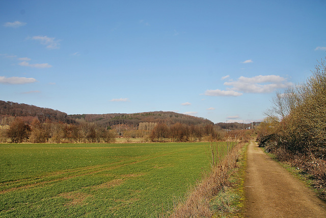 Ruhraue bei der Lennemündung (Hagen) / 7.03.2021