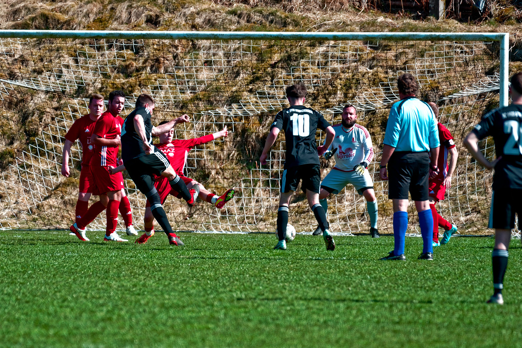 20250412_Voigtsfeld Benne, Fußball, Wildpflanzen