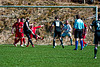 20250412_Voigtsfeld Benne, Fußball, Wildpflanzen