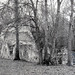 Ruines de l'église St-Médard du Villalet