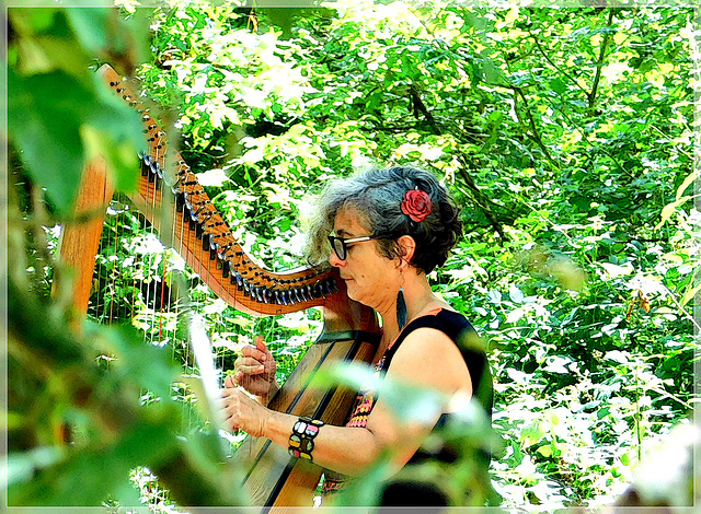 Lili ( harpe celtique) à l'art est dans les bois