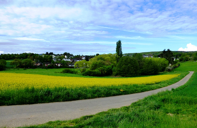 DE - Grafschaft - Landschaft bei Lantershofen