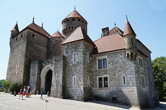 Chateau de Montrottier