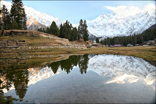 HFF from Pakistan