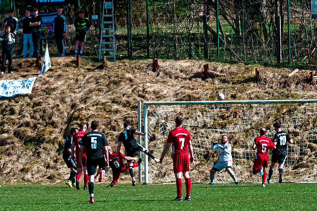 20250412_Voigtsfeld Benne, Fußball, Wildpflanzen