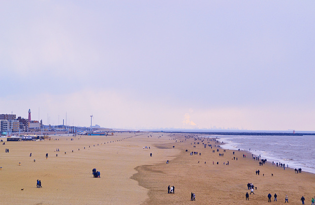 Strand in Scheveningen Holland