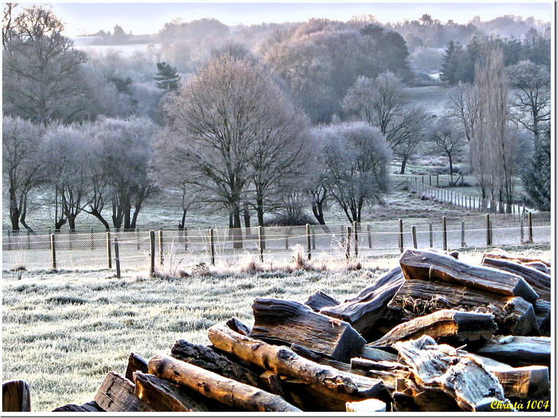 It was a frosty morning