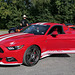 Ford Mustang Freunde