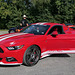 Ford Mustang Freunde Ford Mustang Freunde