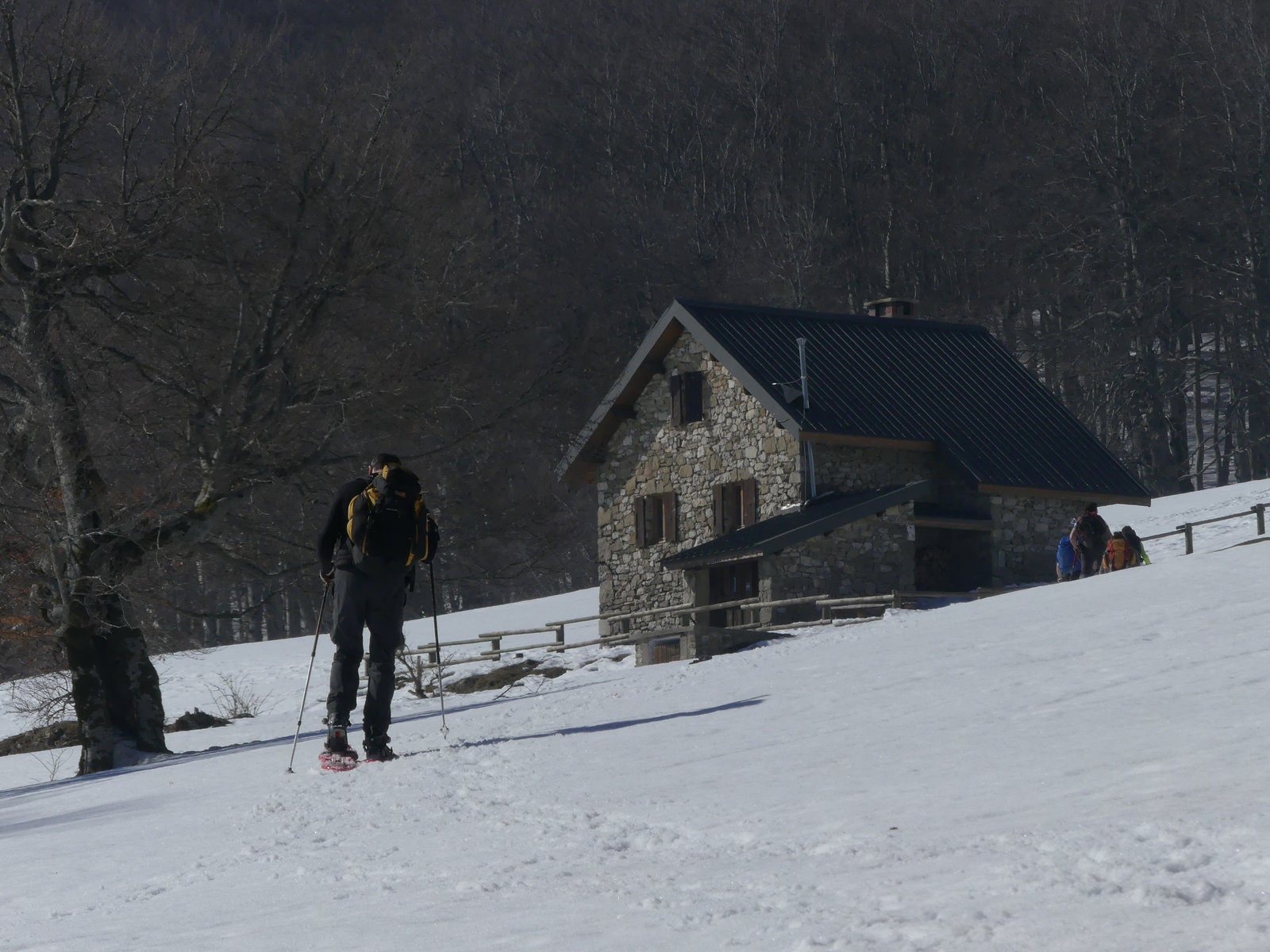 20190224 Raquettes plateau d'Ambel (108) al