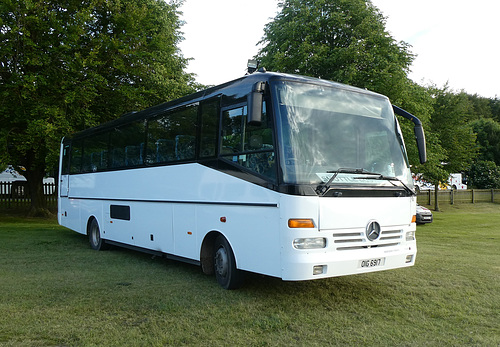 Neal’s Travel OIG 6917 at the July Course, Newmarket - 21 Jun 2019 (P1020848)