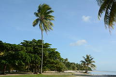 Polynésie Française, Terei'a Beach on the Maupiti Atoll