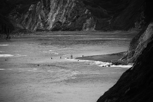 wild swimming 1 B&W