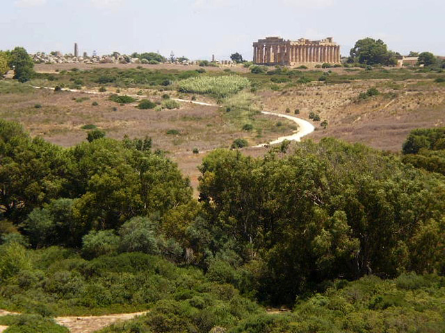 Beholding the temples of the eastern hill.