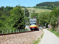 Die Murgtalbahn S41 bei Schwarzenberg