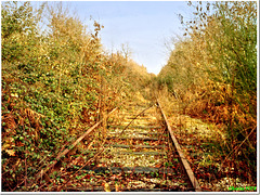 Abandoned rails to nowhere