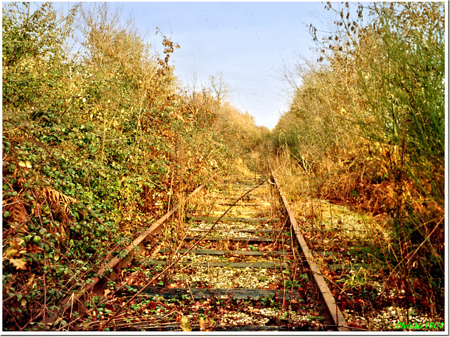 Abandoned rails to nowhere