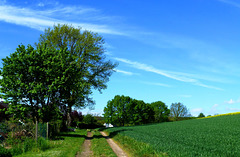 DE - Grafschaft - Landschaft bei Lantershofen