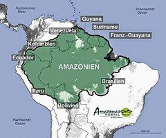 Amazonio