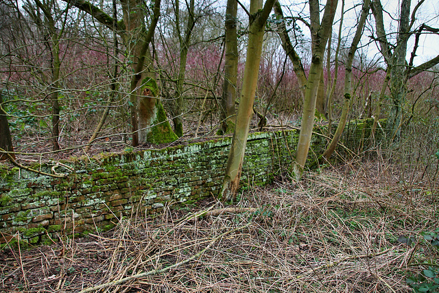 Mauerreste der ehem. Zeche Constantin der Große 4/5 (Herne) / 22.02.2020