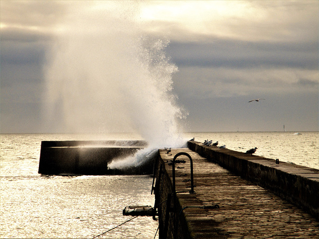 la mer a toujours quelque chose à dire,